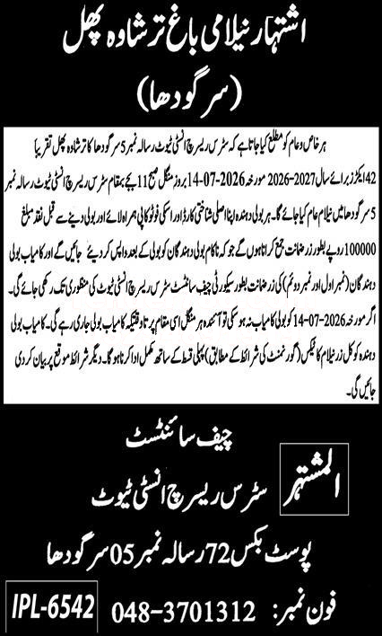 Tender Document