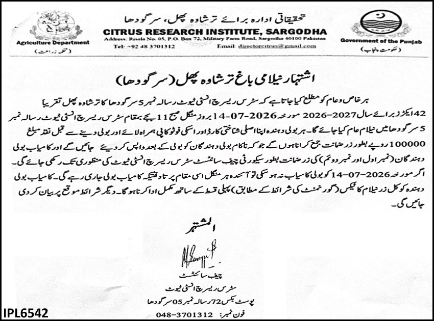 Tender Document