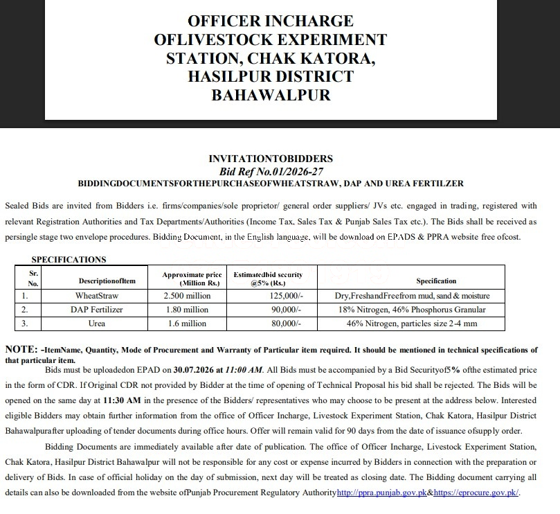 Tender Document