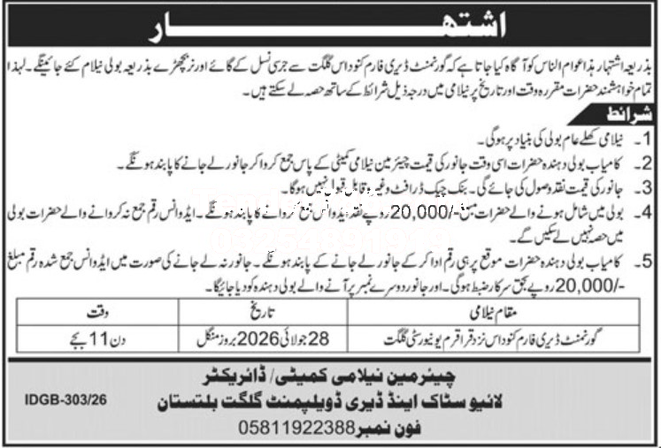 Tender Document