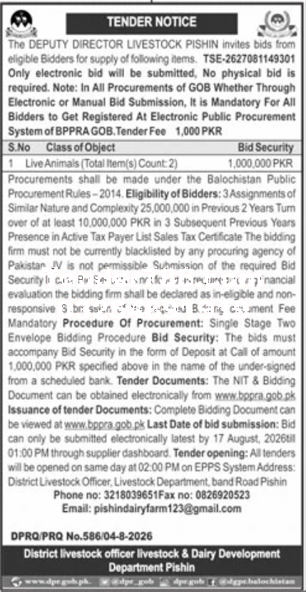 Tender Document