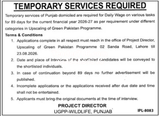 Tender Document