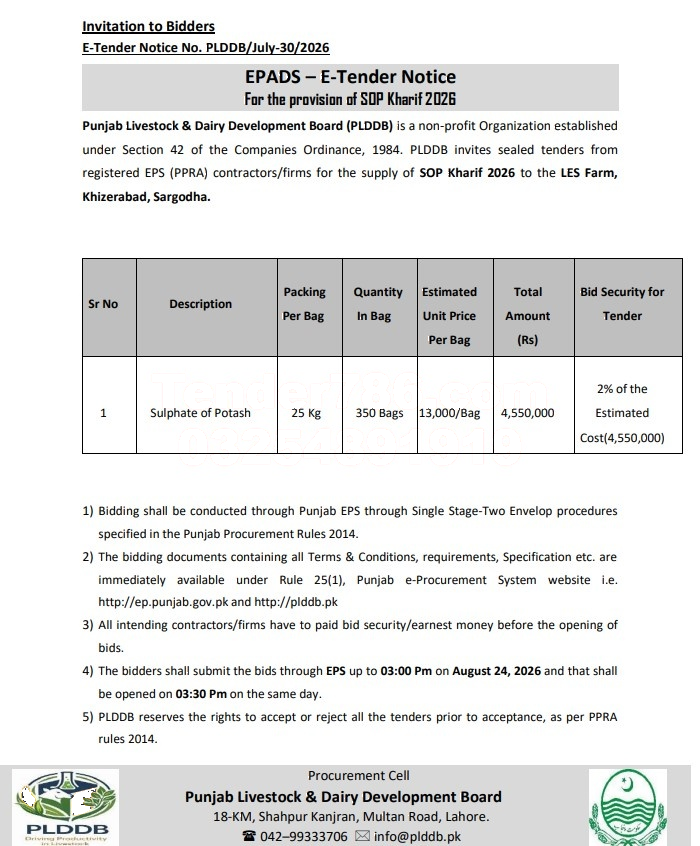 Tender Document