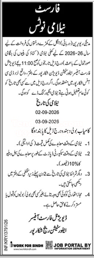 Tender Document