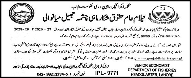 Tender Document