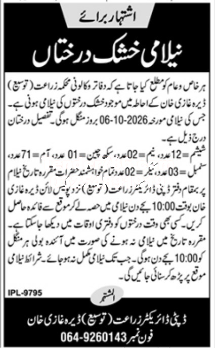 Tender Document