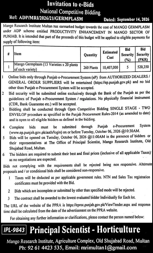 Tender Document