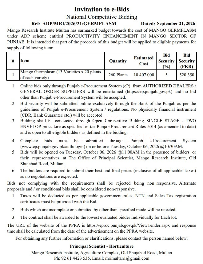 Tender Document