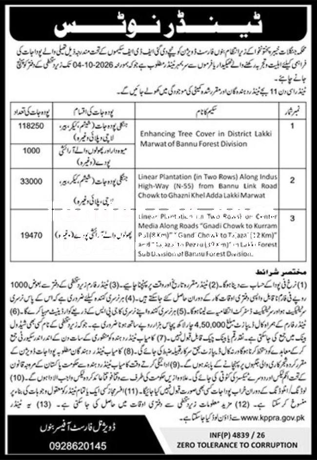 Tender Document