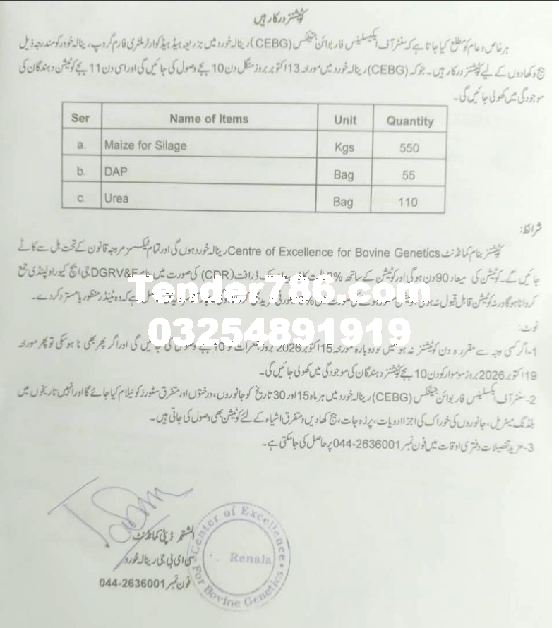 Tender Document