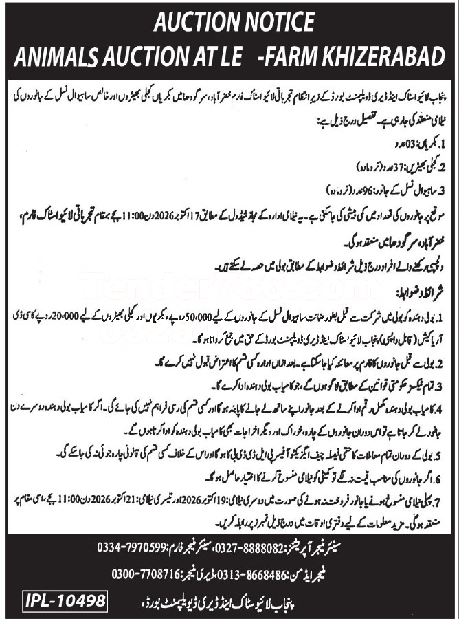 Tender Document