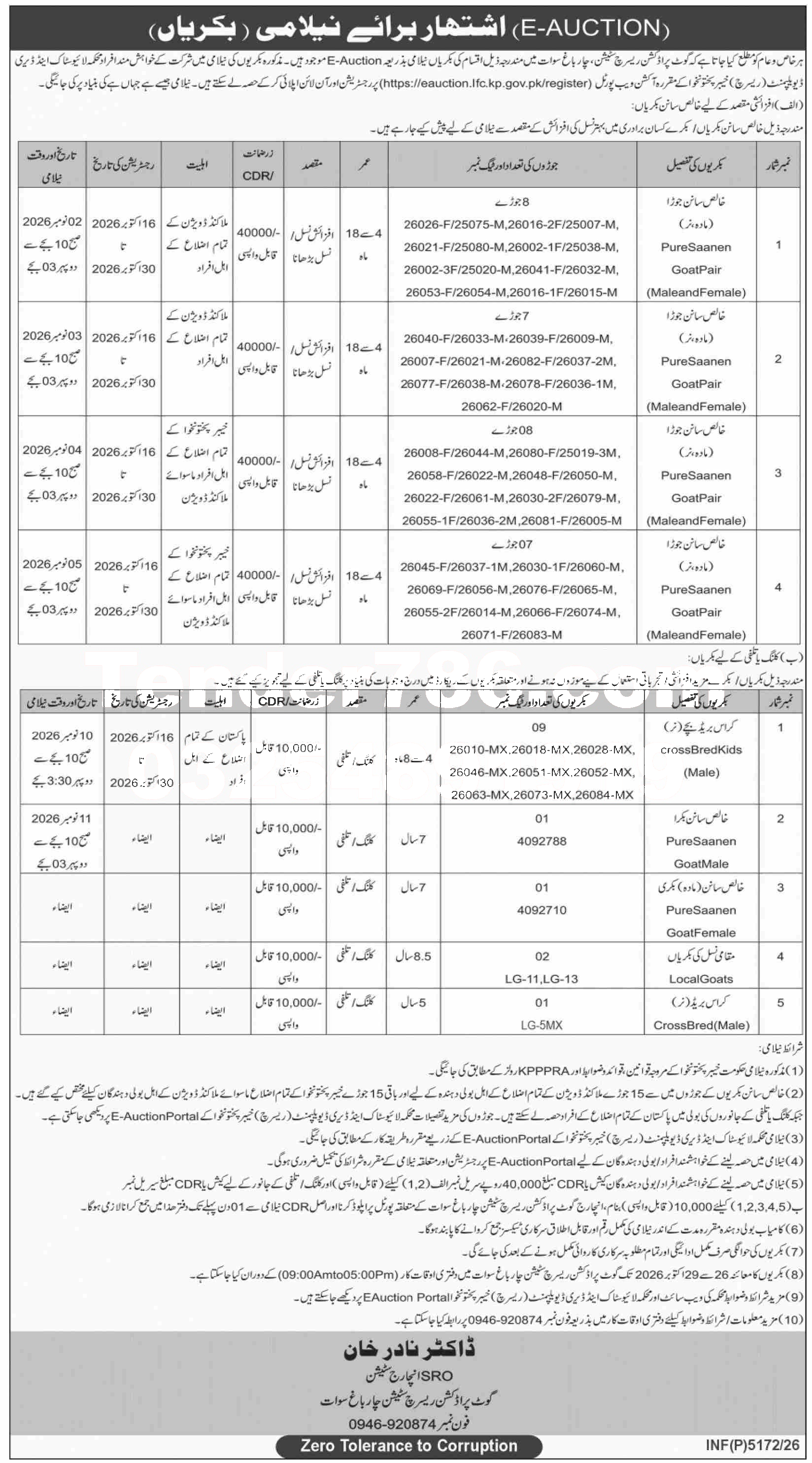 Tender Document