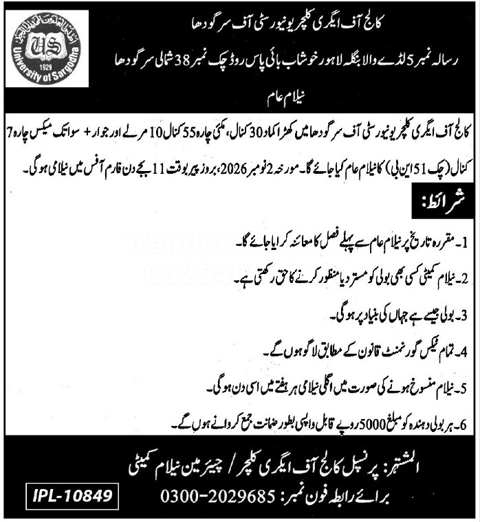 Tender Document
