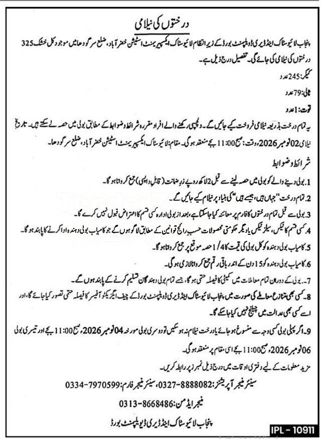 Tender Document