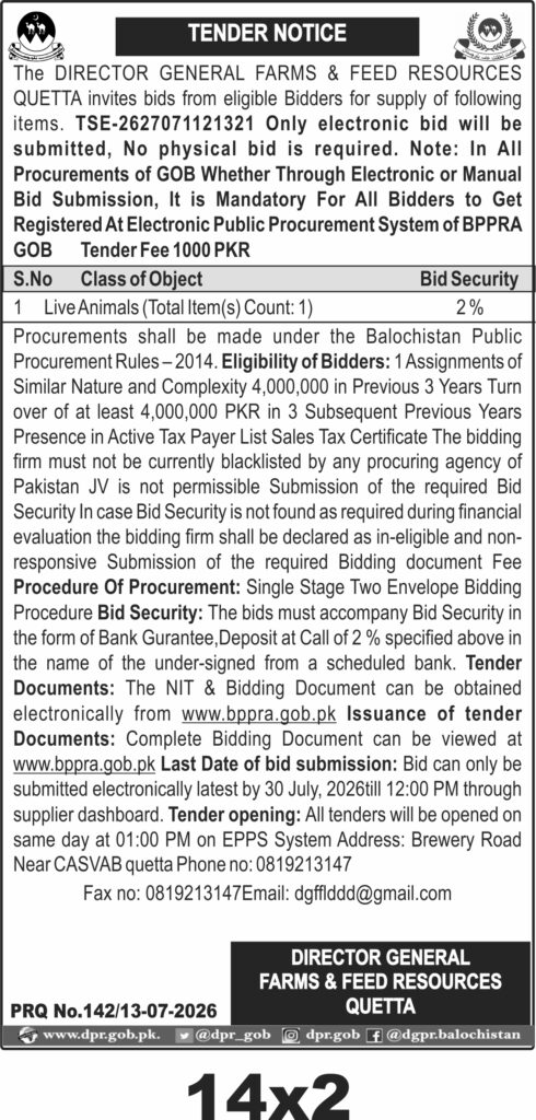 Tender Document