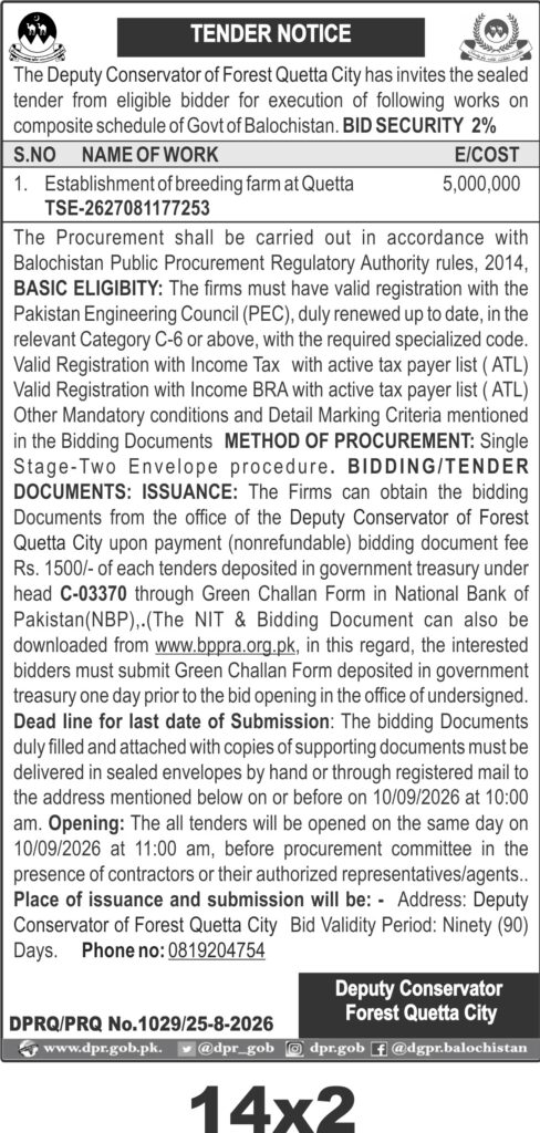 Tender Document