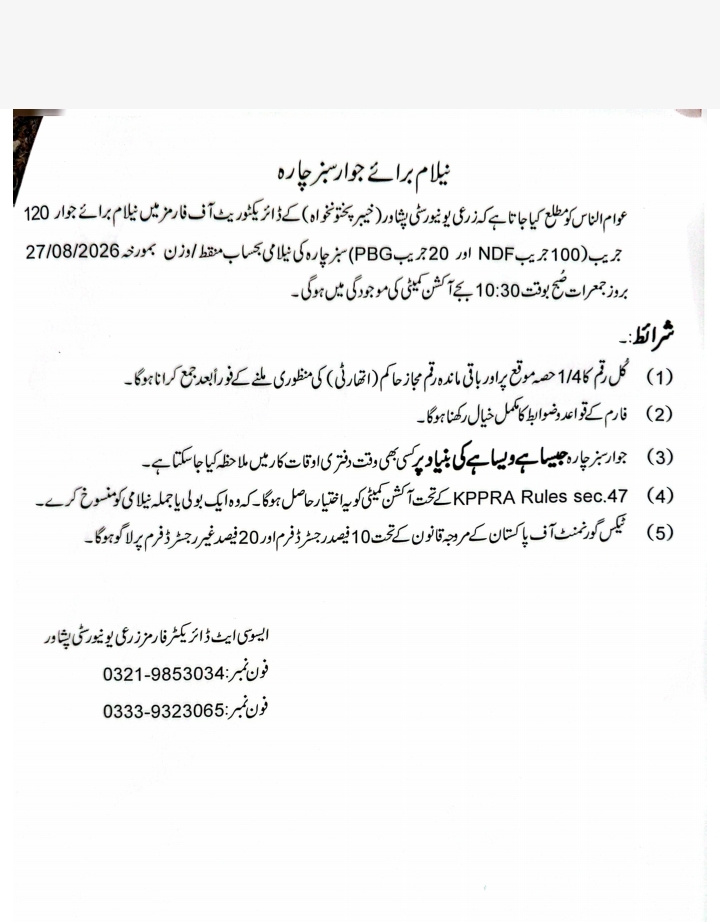 Tender Document