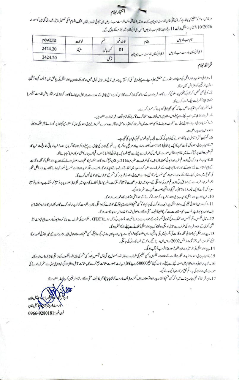 Tender Document